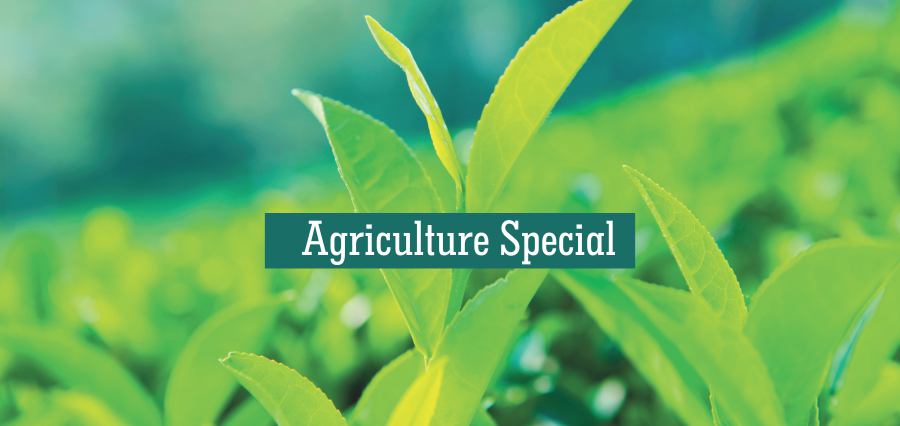 Agriculture Special | Insights Success